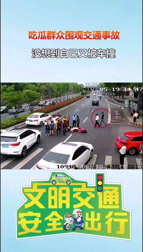 肇事吃瓜被撞,肇事逃逸引发的悲剧