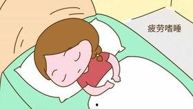 贫血吃猪瓜,贫血患者的天然补血佳品