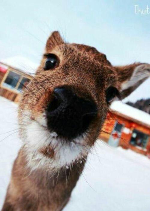 傻狍子带你吃瓜,揭秘娱乐圈那些事儿