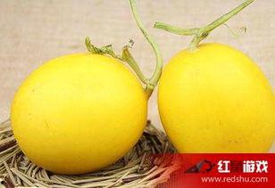 吃瓜  喉咙难受,警惕夏日饮食陷阱