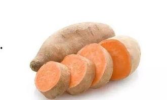 吃瓜少女魏淑芬吃蕃薯,吃瓜少女的甜蜜邂逅