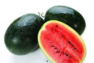 罗门坎瓜怎么吃,从传统到创新的美味之旅